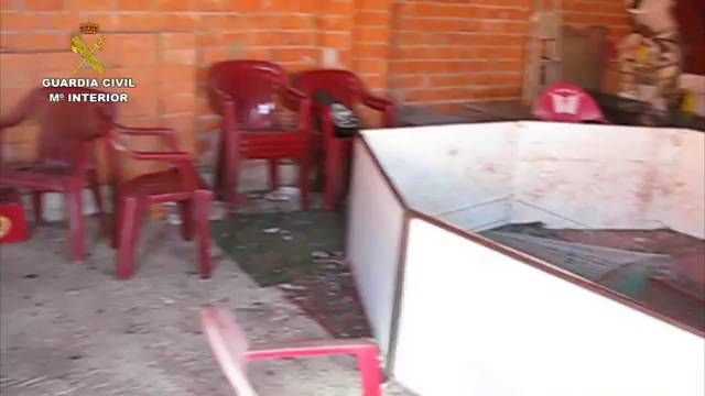 13 personas detenidas por la celebración clandestina de peleas de gallos en Tordesillas