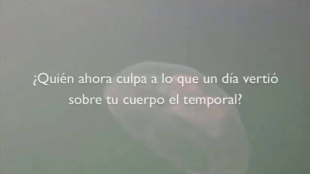 La degradación del Mar Menor también se canta