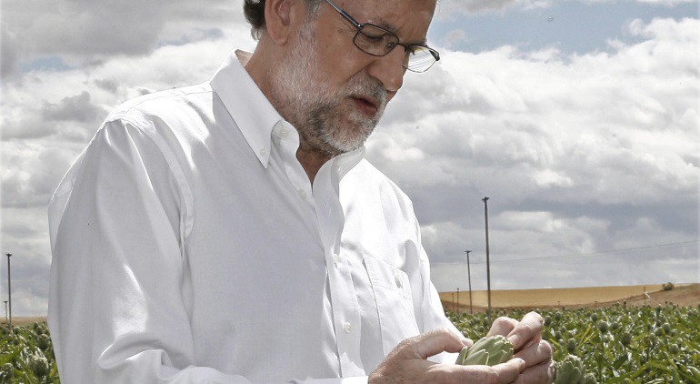 El campo de alcachofas que emocionó a Mariano Rajoy