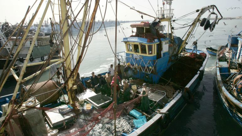 El tribunal de la UE mantiene el acuerdo pesquero con Marruecos y excluye los recursos del territorio del Sáhara
